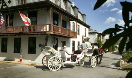 Horse Drawn Carriage Tours