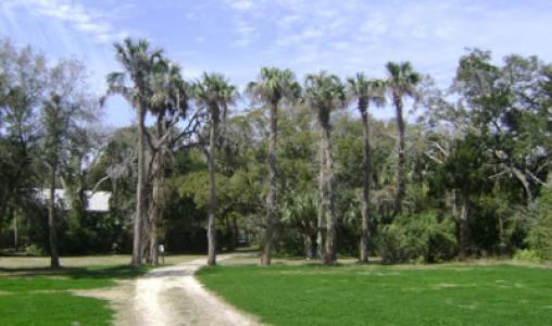 Fountain Of Youth Florida