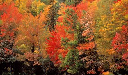 Sault Saint Marie4