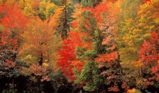 Sault Saint Marie4