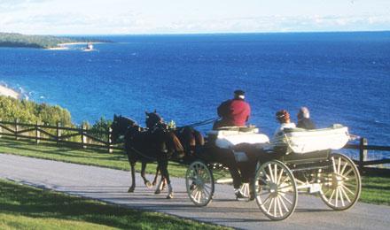 Horse And Buggy Mackinac Island2