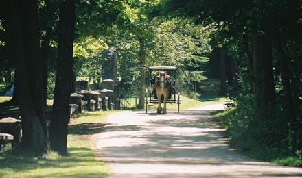 Mackinac Island Trails