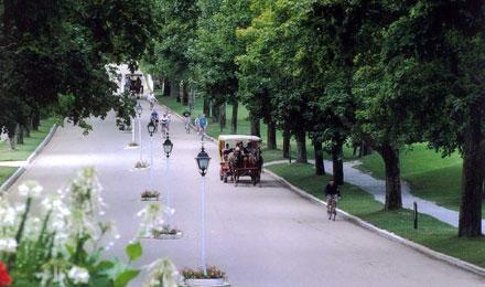 Guided Carriage Tour Mackinac Island6
