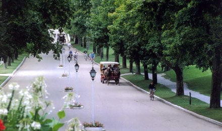 Guided Carriage Tour Mackinac Island6
