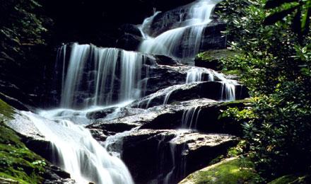 Guided Tour Of Asheville