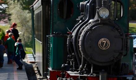 05 Steam Train