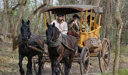 07 Williamsburg Horse Cart