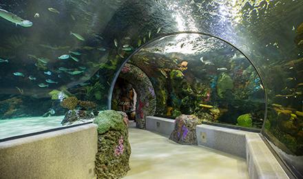 Virginia Beach Aquarium And Marine Science Center