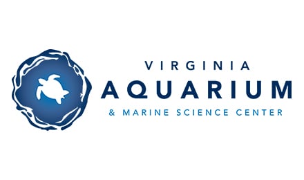 16 V A Logo