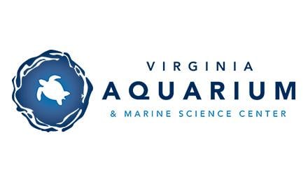 16 V A Logo