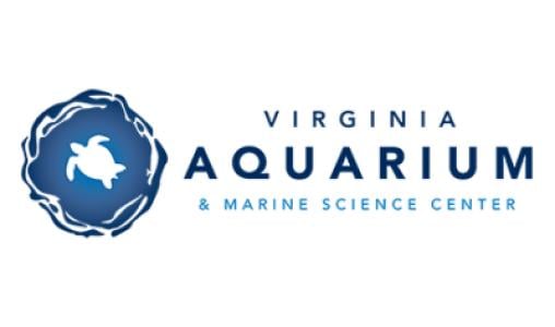 16 V A Logo